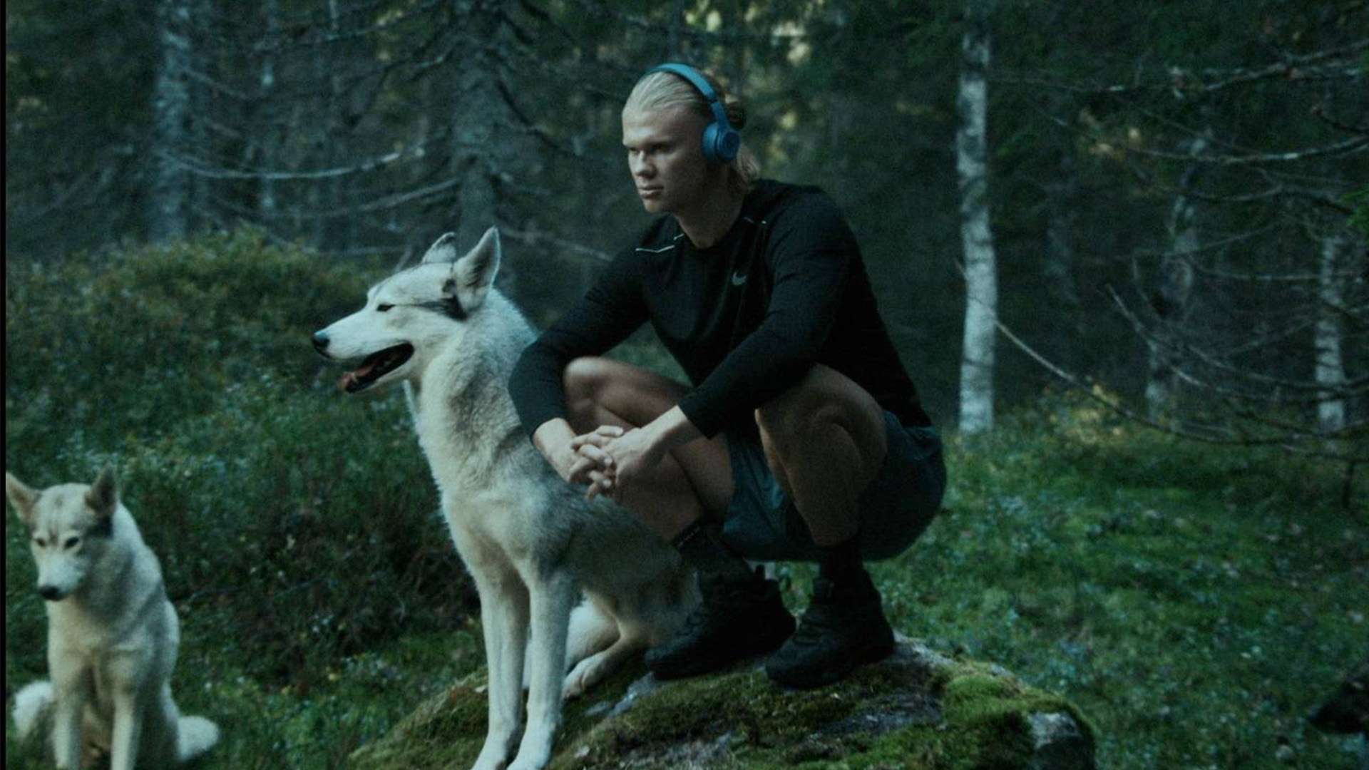 种线上资源 种线上资源